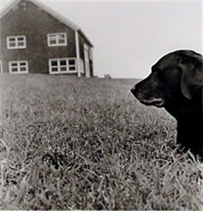 Image description is not available for 2000.040